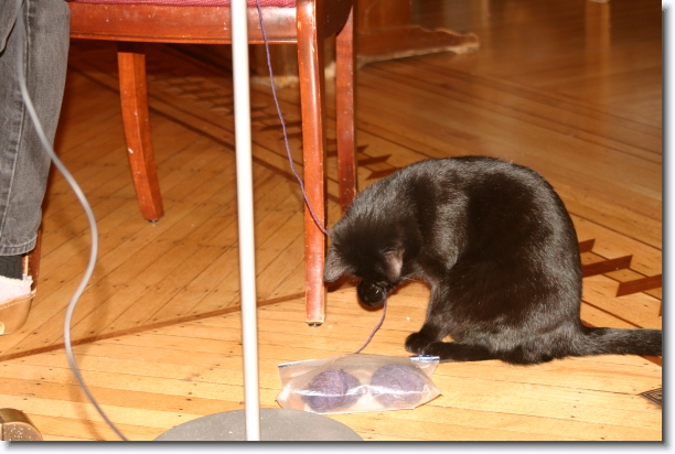 Click for the original image