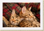 IMG_0685 * Thelma and Louise. * 3072 x 2048 * (3.64MB)