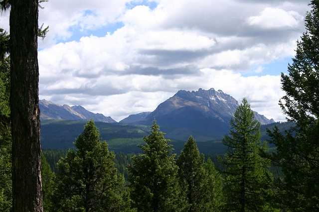 Click to open original image.