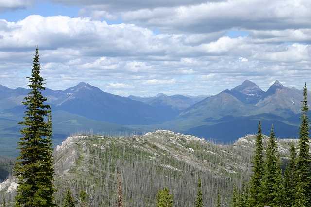 Click to open original image.