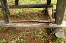 IMG_4135