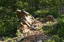 IMG_4598